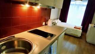 Апарт-отели Natalex MicroLofts Вильнюс Лофт-3