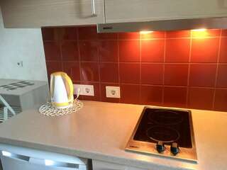 Апарт-отели Natalex MicroLofts Вильнюс Лофт-47